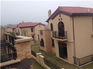 Cultured Stone Project Manufactured Stone for Building