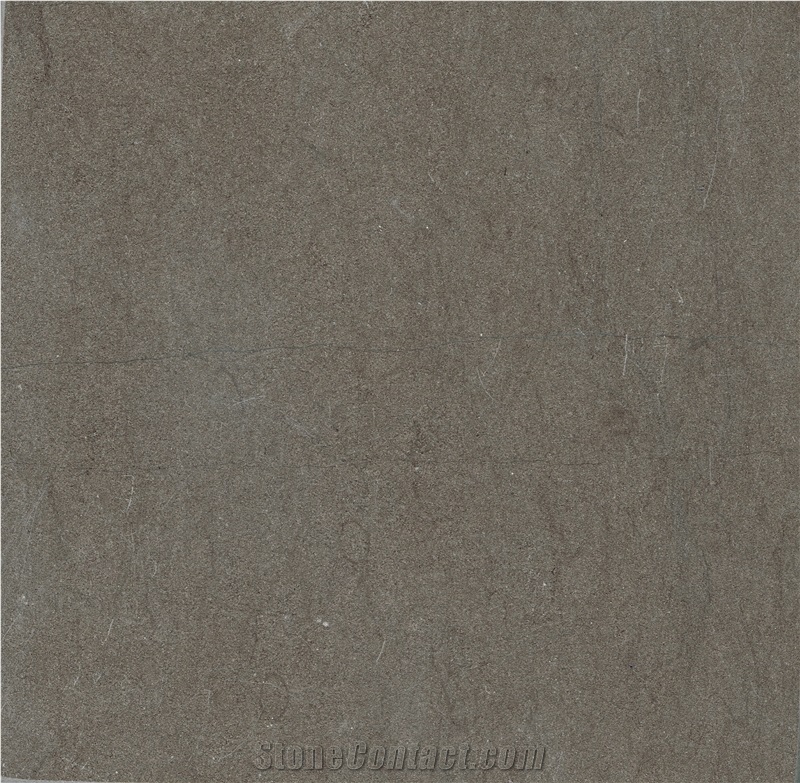 Grey Foussana - Gris Foussana