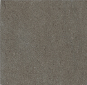 Grey Foussana - Gris Foussana