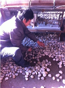 High Quality High Polised White River Stone