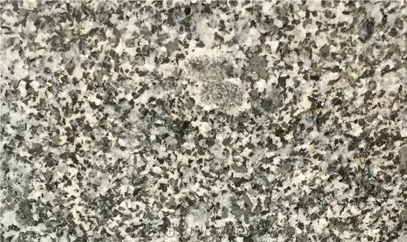 Negro Reguengos