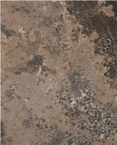 Brown Beach Marble Slabs & Tiles, Golden Beach Marble, China Brown Marble