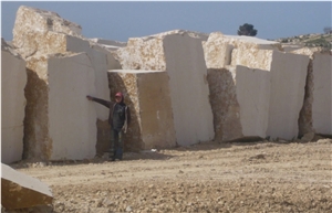 Benjamin Grey a - 62, Bir Zeit Grey(Birzeit Grey)