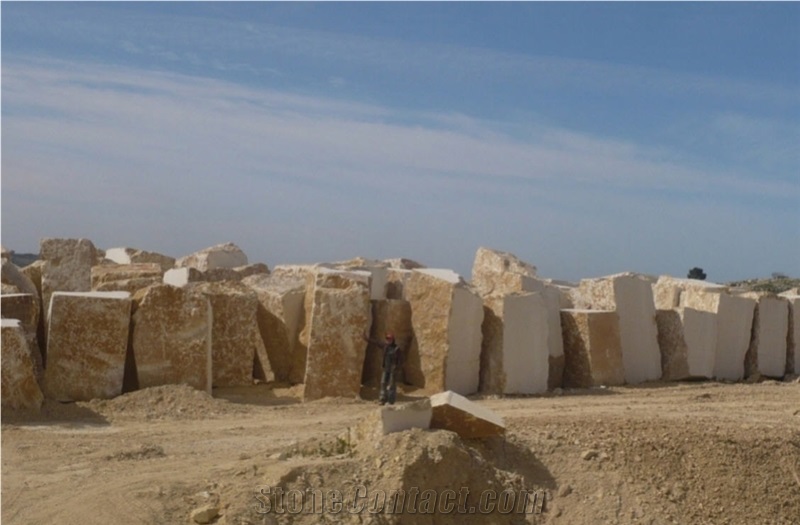 Jerusalem Bone A-16 Limestone Blocks