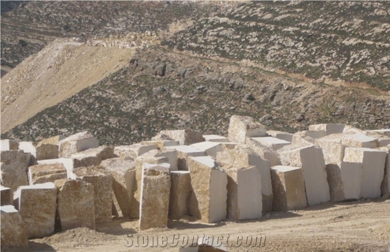 Jerusalem Golden Shell Blocks - Golden Shell A55