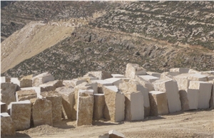 Jerusalem Golden Shell Blocks - Golden Shell A55