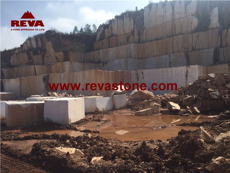 Betulla Grey Marble Slabs & Tiles