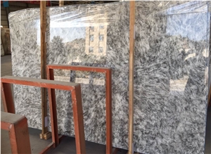 Silver Fox Marble Tiles & Slabs, High Quality Silver Fox Marble Slabs & Tiles, Polished Silver Marble Slabs & Tiles