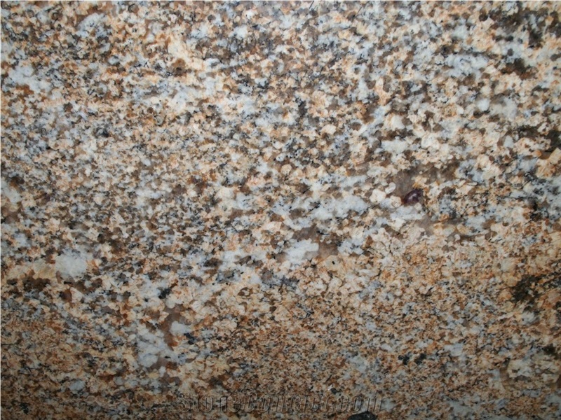 Mokoro Gold Granite Slabs