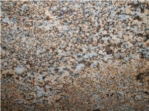 Mokoro Gold Granite Slabs