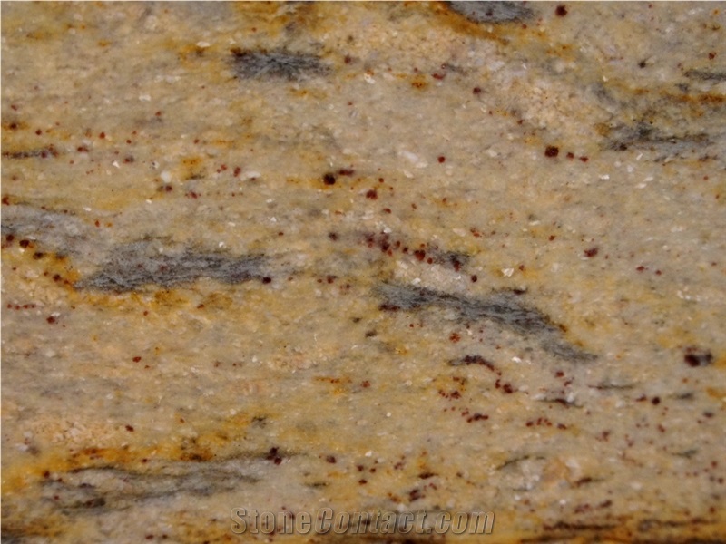Prada Gold Granite Slabs, Praha Gold