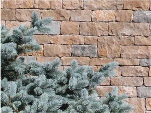 Pierre De Causses Masonry, Dry Wall Building Wall Stone, Beige Limestone for Facades