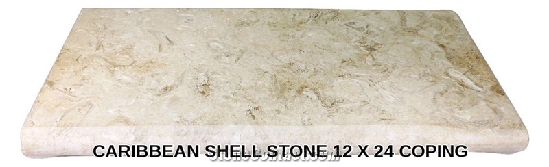 Caribbean Shell Stone