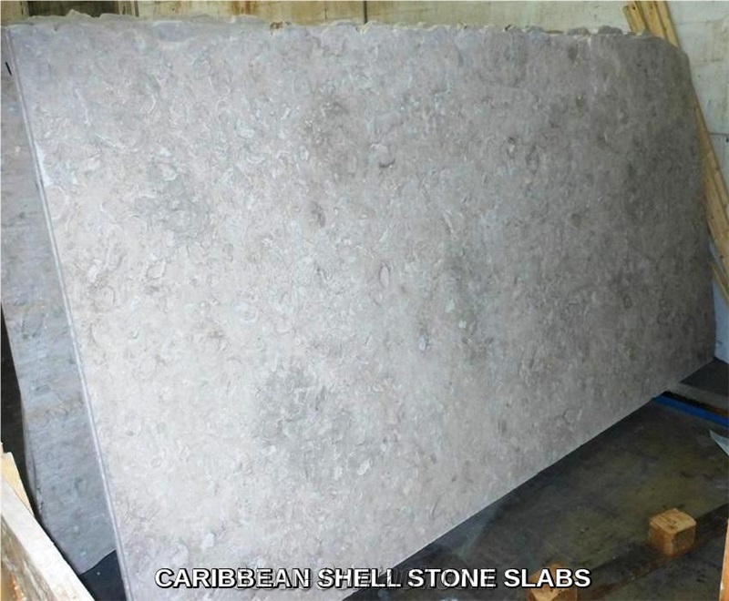 Caribbean Shell Stone