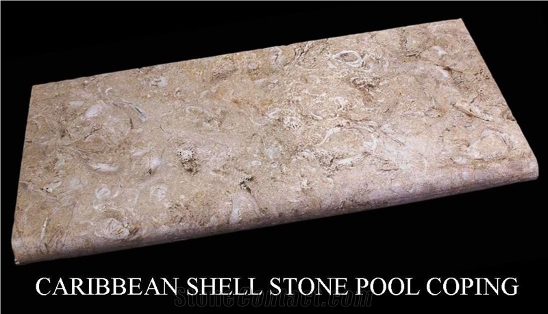 Caribbean Shell Stone