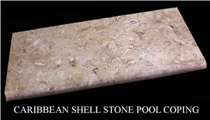 Caribbean Shell Stone