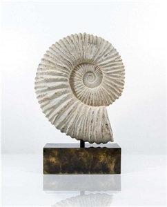 Ammonite on Base