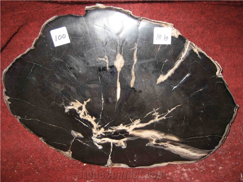 Petrified Wood Drink Coasters