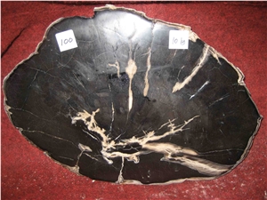 Petrified Wood Drink Coasters