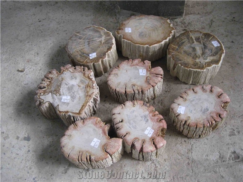 Petrified Wood Drink Coasters