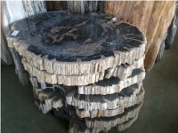 Petrified Wood Sliced Tabletops, Commercial Tops