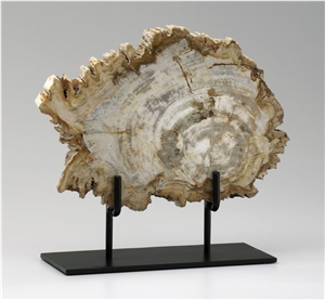 Petrified Wood Stand