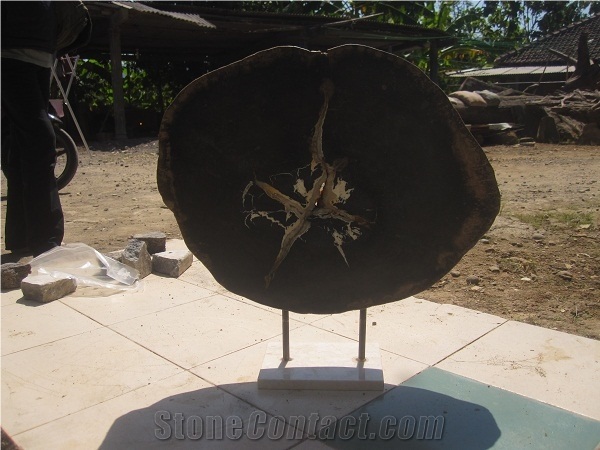Petrified Wood Stand