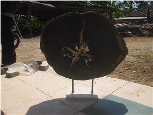 Petrified Wood Stand