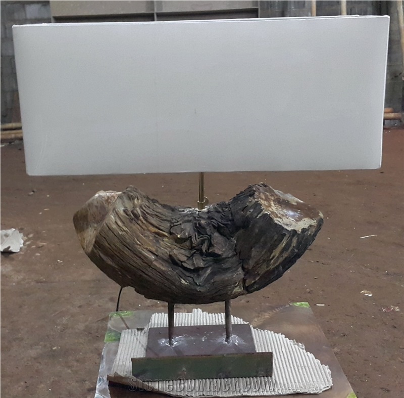 Petrified Wood Table Lamps, Lanterns