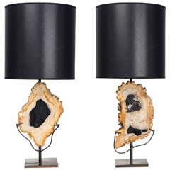 Petrified Wood Table Lamps, Lanterns