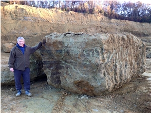 Wealden Sandstone, Wooden Sandstone Blocks, Beige Sandstone Blocks