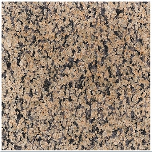 Rainwara Yellow Granite Tiles, Slabs, Floor Tiles