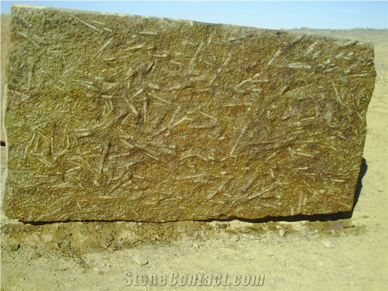 Fossile Marrone - Fossil Brown Marble Blocks