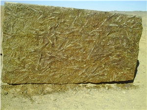 Fossile Marrone - Fossil Brown Marble Blocks
