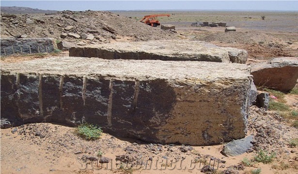 Fossile Marrone - Fossil Brown Marble Blocks