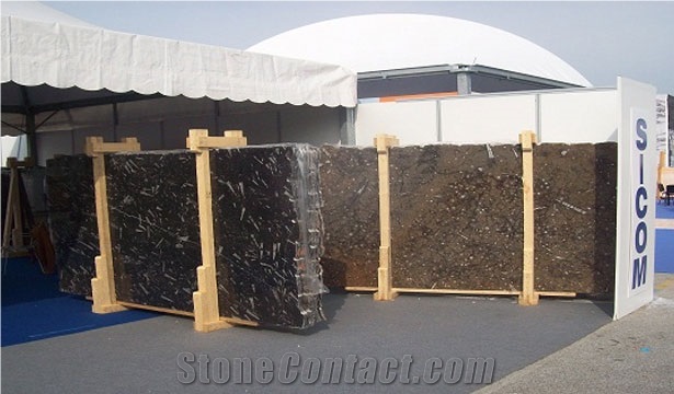 Fossile Marrone - Fossil Brown Marble Slabs