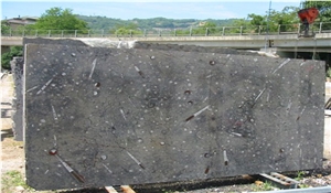 Fossile Marrone - Fossil Brown Marble Slabs