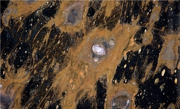 Andromeda Quartzite Tiles & Slabs, Black Polished Quartzite Floor Tiles, Wall Tiles