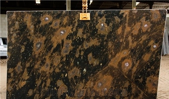Andromeda Quartzite Tiles & Slabs, Black Polished Quartzite Floor Tiles, Wall Tiles