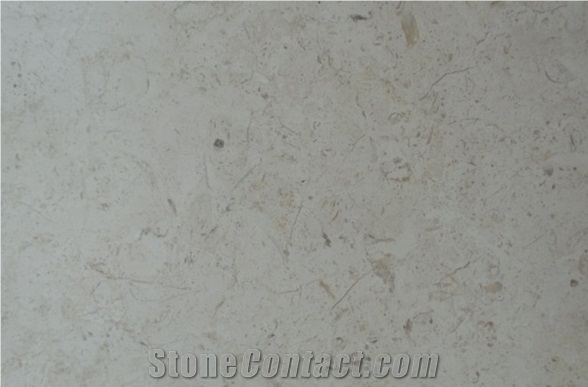 Jasmine White, Palestinian Light Cream White Limestone Slabs & Tiles