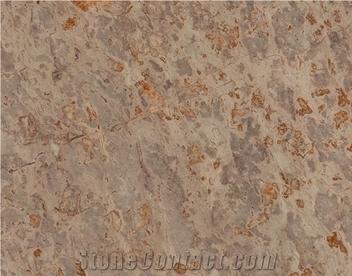 Portugal Brecha Sto Antonio Slabs & Tiles, Brecha De St Antonio Limestone Slabs & Tiles