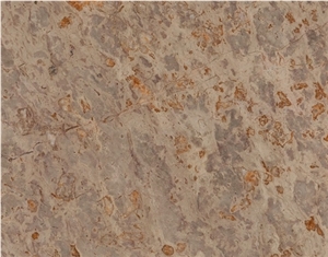 Portugal Brecha Sto Antonio Slabs & Tiles, Brecha De St Antonio Limestone Slabs & Tiles