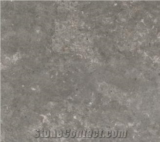 San Vicente Limestone-Moon Grey Slabs & Tiles, Gris San Vicente Grey Limestone Tiles