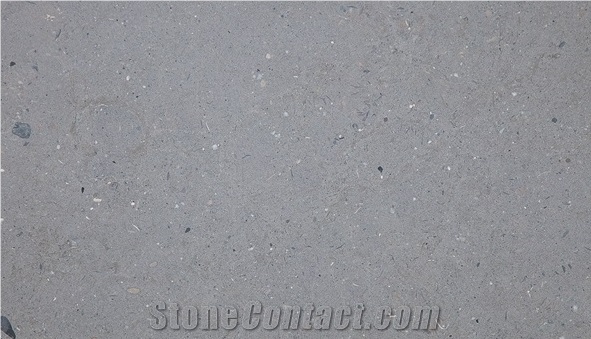 San Vicente Limestone-Moon Grey Slabs & Tiles, Gris San Vicente Grey Limestone Tiles