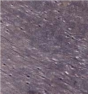 Zeera Slate Tile & Slab, India Lilac Slate