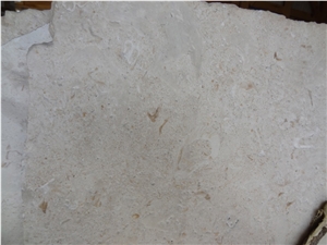 Seashell Slabs, Seashell Limestone Tiles & Slabs, Beige Limestone Flooring Tiles, Walling Tiles