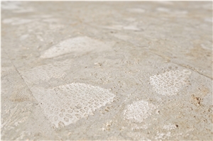 Caribbean Coral Stone Wall and Floor Covering