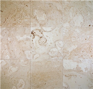 Caribbean Coral Stone Wall and Floor Covering