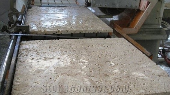 Caribbean Coral Stone Wall and Floor Covering