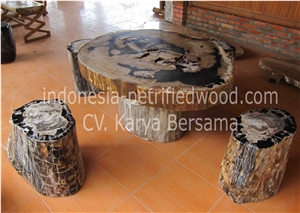 Petrified Wood Coffe Tables Furniture, Beige Tables